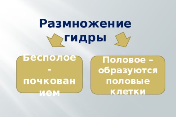 Кракен зеркало рабочее на сегодня krakenat2krnkrnk com