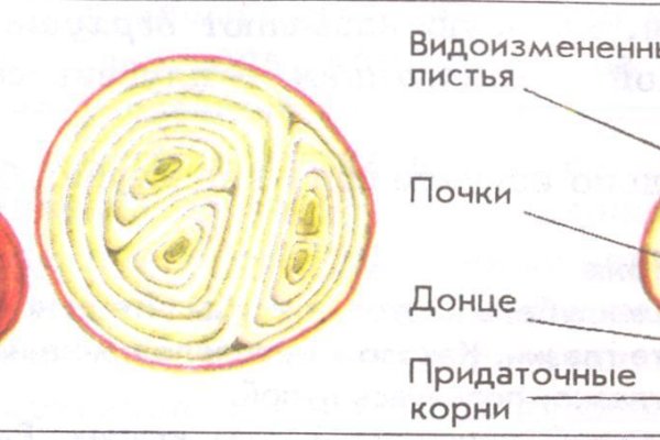 Кракен ссылка vtor