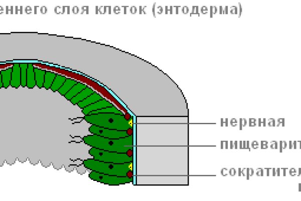 Даркнет официальный сайт вход