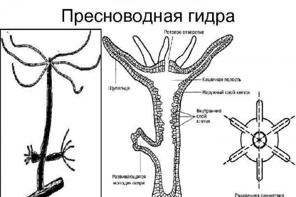 Кракен маркетплейс москва видео