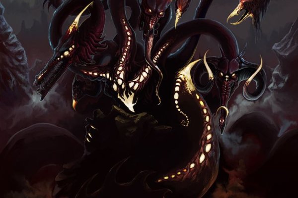Kraken 24 top