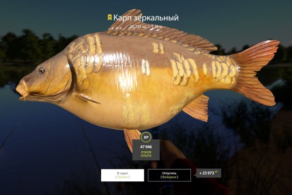Площадка кракен kraken dark link